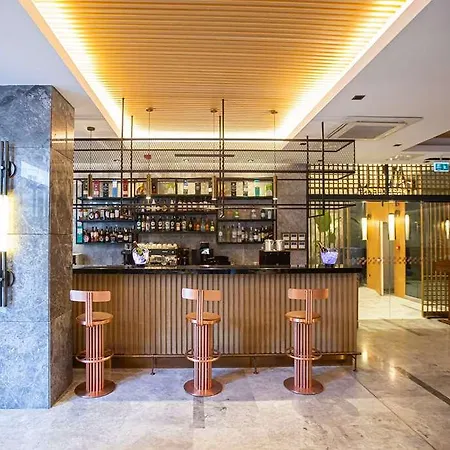 Ramada Plaza Sultanahmet 호텔 5*