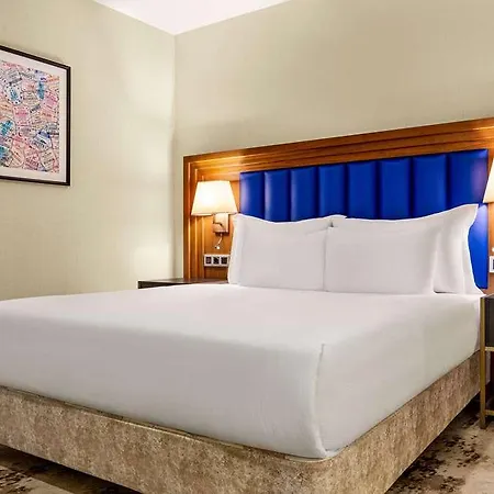 Ramada Plaza Sultanahmet 호텔 이스탄불