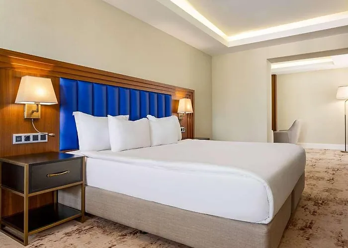 Otel Ramada Plaza Sultanahmet İstanbul